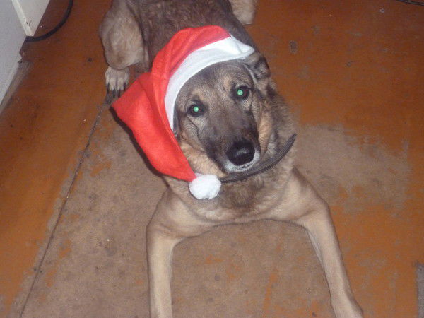 Виталий Генералов