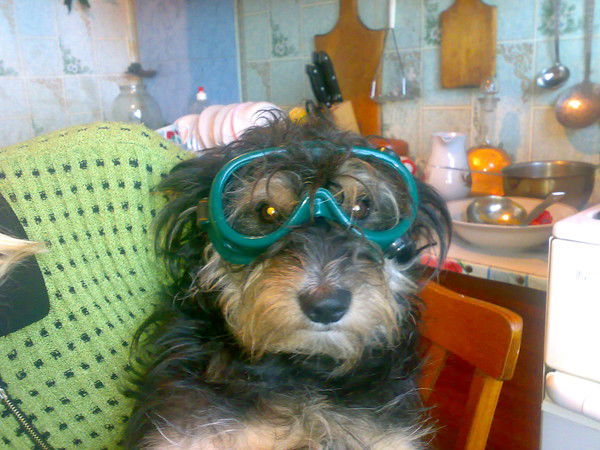 Саша Верченко