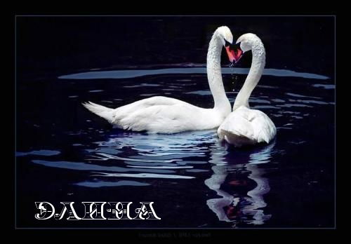 Элина Кипоть