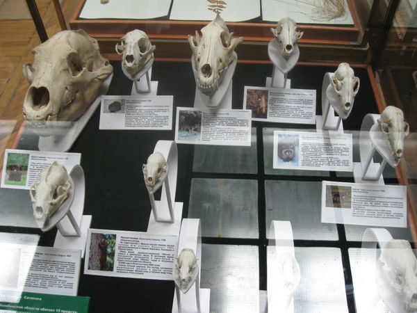 Лена(Замужем)