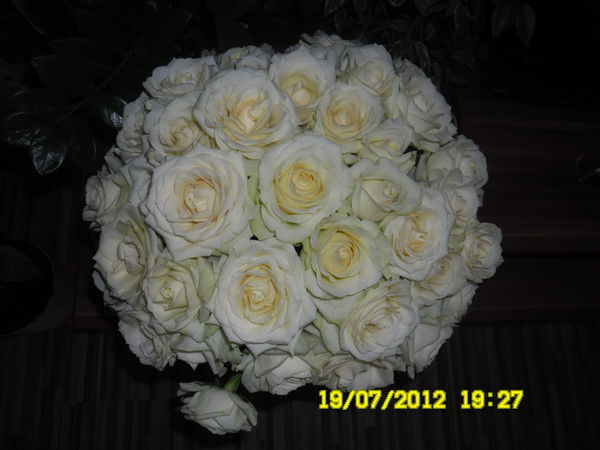 Алена Гареева