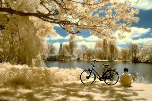 Светлана Жур