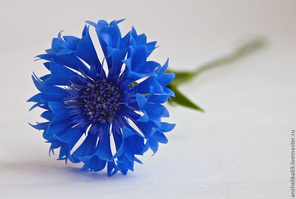 Айгерим Уразова(Тургунова)