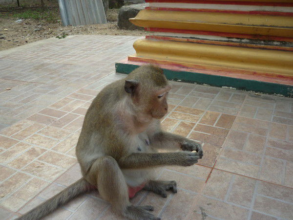 Игорь Беляев