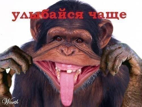 Сергей Скрыниченко