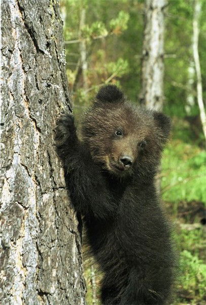 Надежда Некрасова
