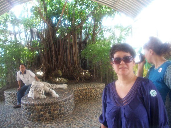 Гульсум Амренова