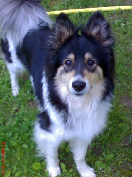 Татьяна Мариева