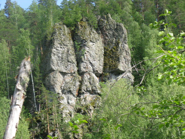 Александр Шершнёв