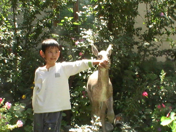 Ильхам Масимов