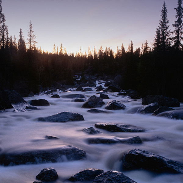 Яна Сергеева