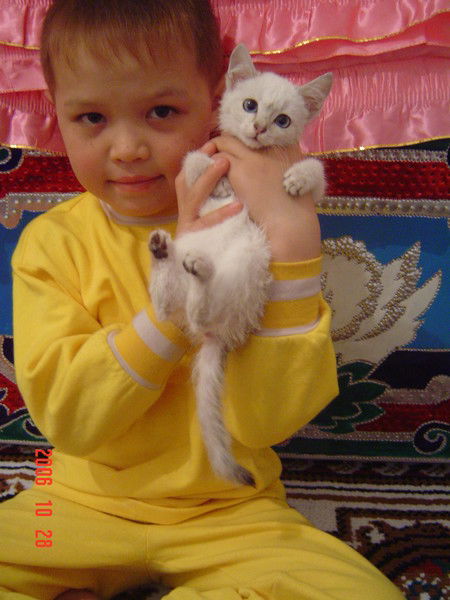 Айжаркын Эргешова