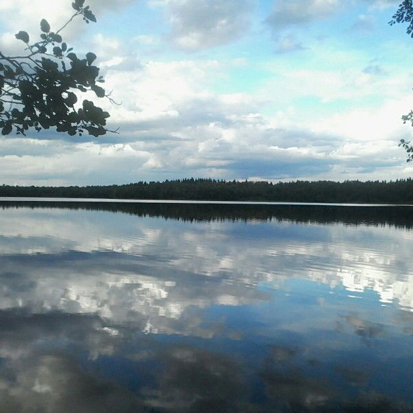 Алина Архипова