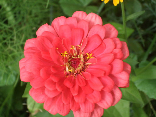 Наталья Прилепко