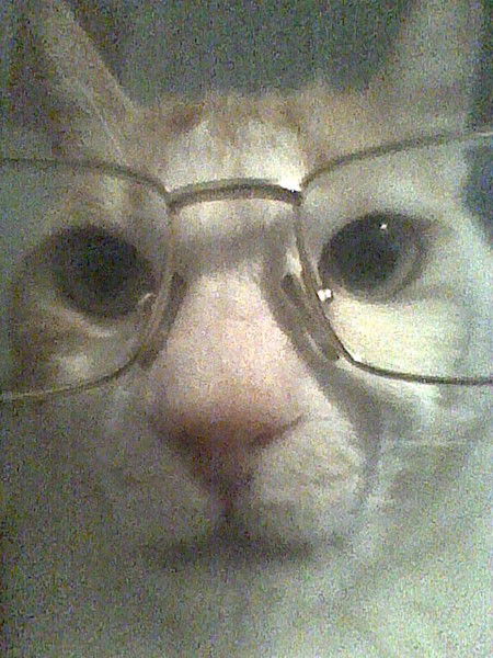 Ирина Волкова