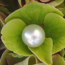 Надежда Калайтанова