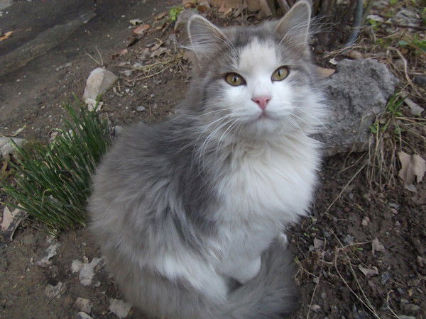 Лариса Щедрова