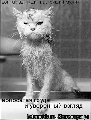 Андрей Новосёлов