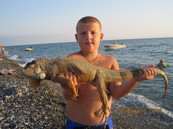 Дима Пурышев