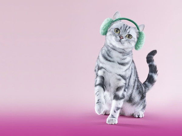 Алсу Сулейманова