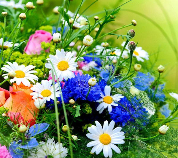 Столовая 17/12