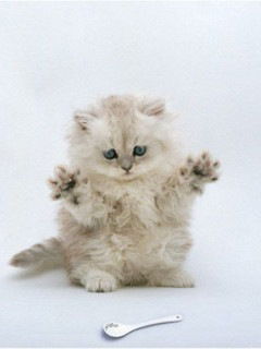 Сергей Самойлов