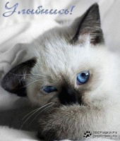 Марина Гусенкова