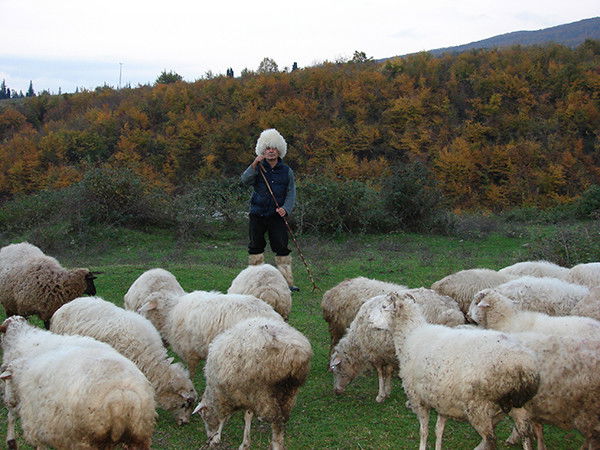 Бадри Мудрый