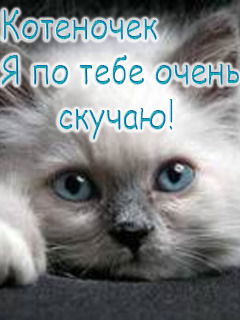 Наталья Автушко(Кабакова)