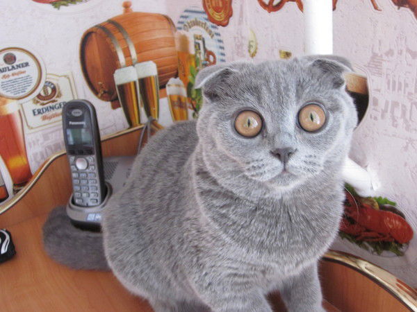 Мария Рябцева