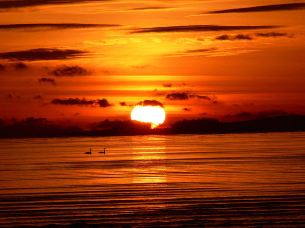 Ольга Дмитриева