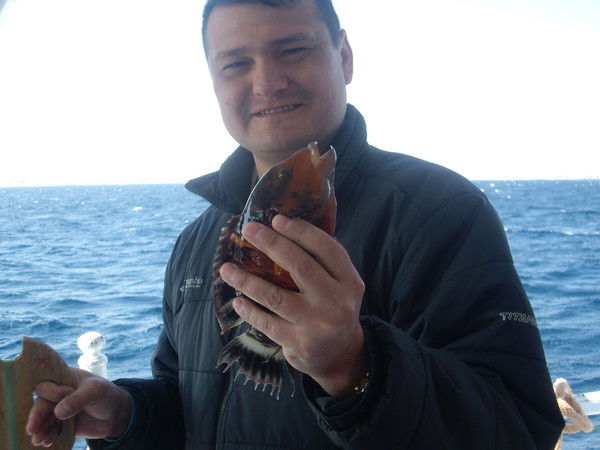 Сергей Лукин