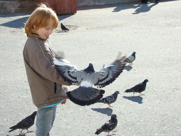 Полина Филиппова