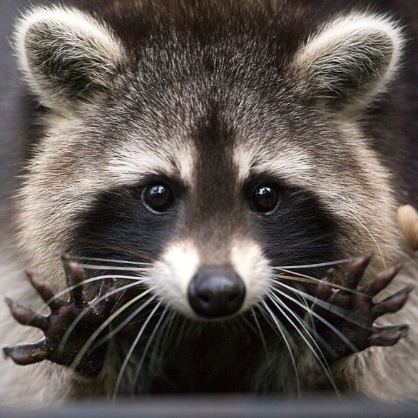 Сергей Бобков