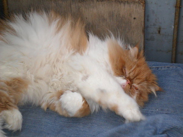 Евгений Бирюкофъ