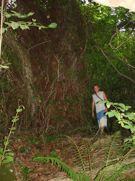 Андрей Рогожников