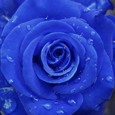 Евгения Алексеенко