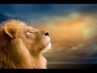 Наталья .козлова