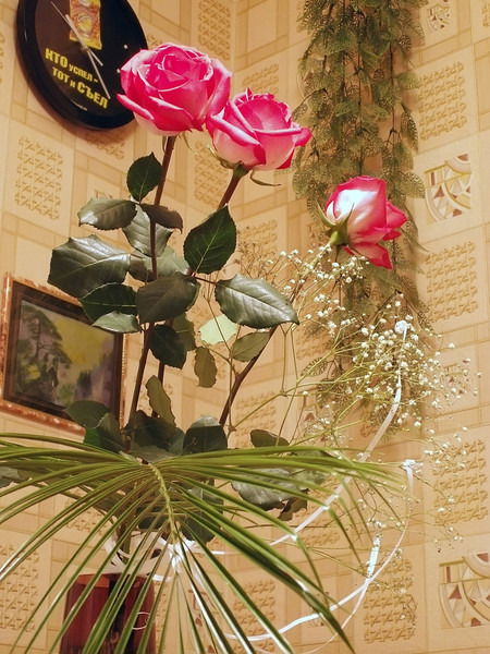 Ботагоз Каримкызы