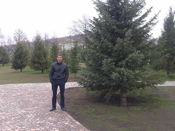 Рустам Алиев