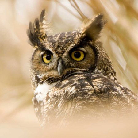 Ольга Мишина