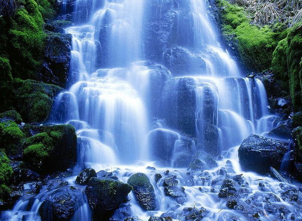 Екатерина Дк