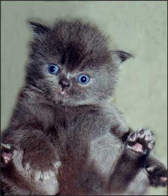 Татьяна Пудова