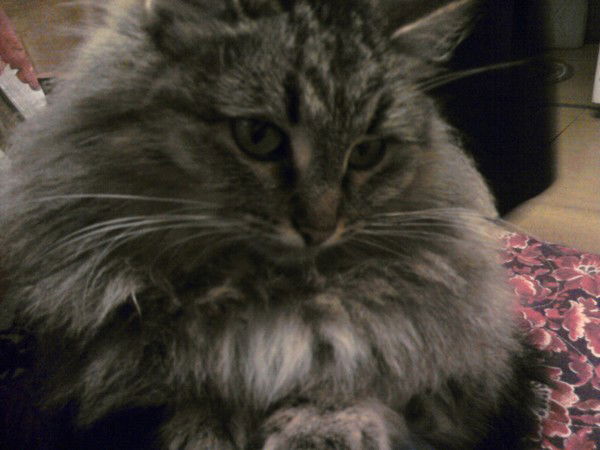 Андрей Грошовкин