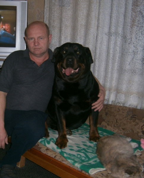 Валерий Харитонов