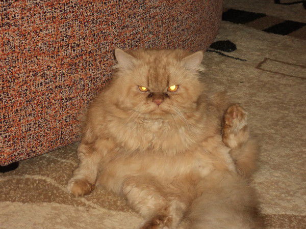 Александр Таштамышев