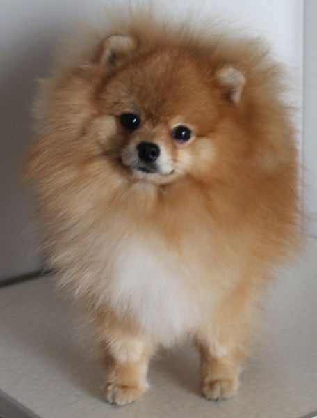 Юлия Гуденко