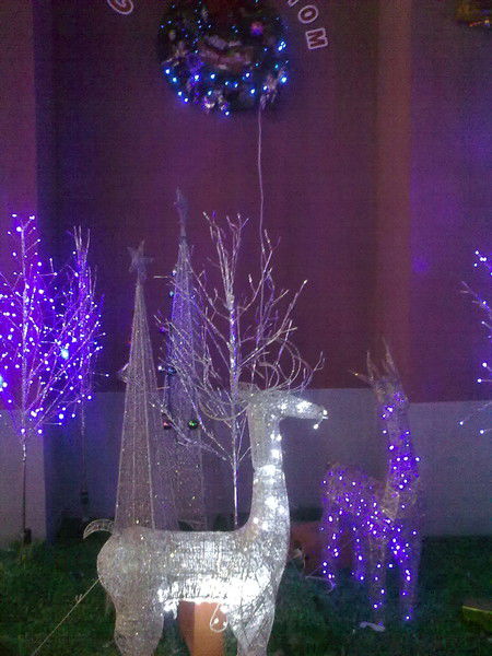 Анджела Чомаева