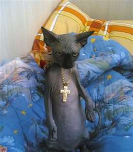 Крутой Пацан