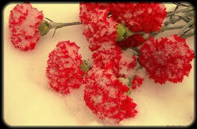 Лунара Досымова